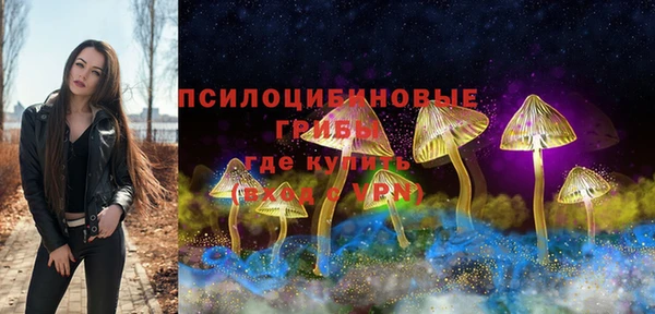 СК Вяземский