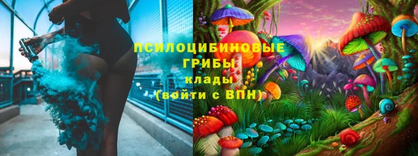 молекула духа Вязьма