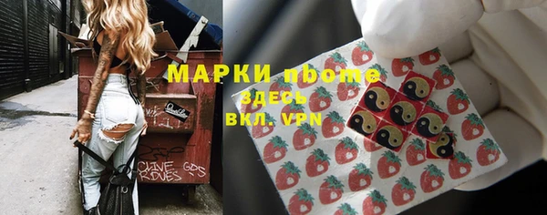 молекула духа Вязьма