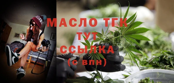 молекула духа Вязьма