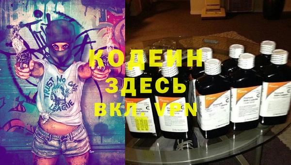 СК Вяземский