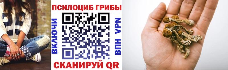 мориарти состав  Мыски  Галлюциногенные грибы ЛСД 